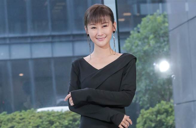 陳珮騏是八點檔女神。(圖／本報系資料照)