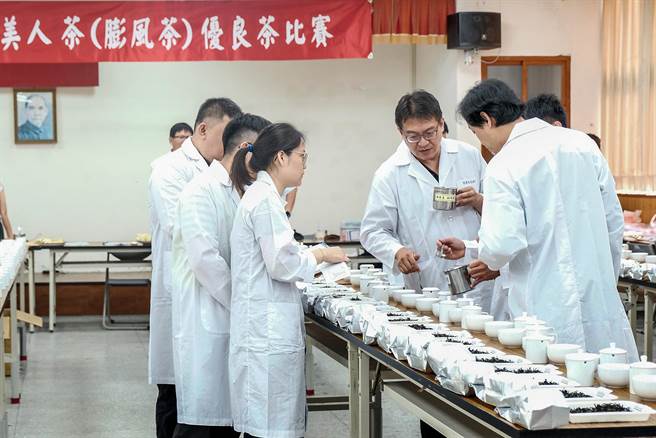 今年新竹县东方美人茶优良茶比赛因疫情延到8月9日到13日进行，5天评鑑期间将採网路直播，落实防疫。（罗浚滨摄）