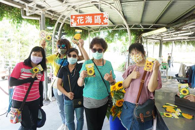 社花市優惠台中市民半價入園，再加碼贈送向日葵種子。（王文吉攝）