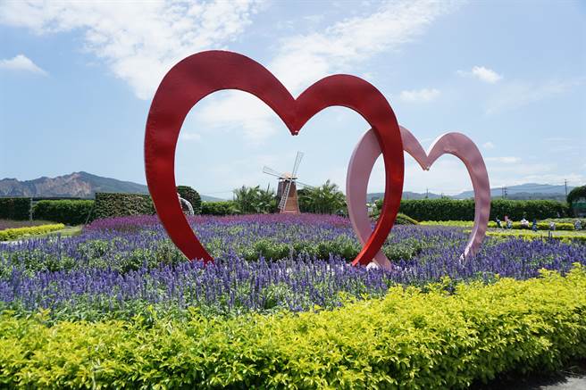 中社花市占地廣達6公頃，正值千屈菜、火焰雞冠花、鼠尾草等花卉盛開。（王文吉攝）