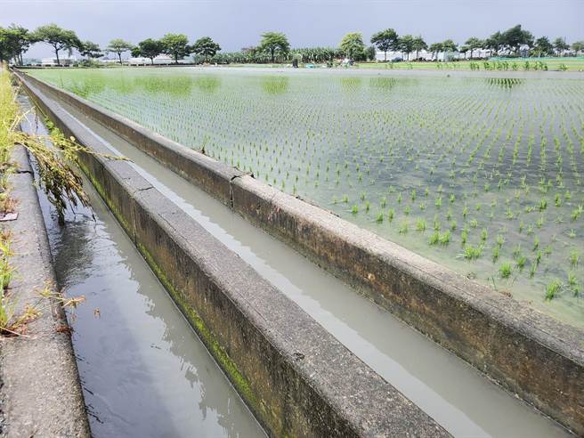 云彰地区农业用水渗入地下水层比例高达4成，云林县府推广「藏水于农」观念。（周丽兰摄）