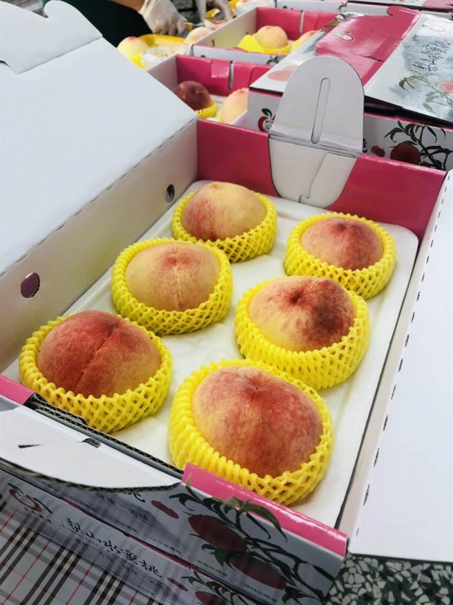 梨山水蜜桃色泽红润，且甜度可达17度以上，汁多、肉细、果粒大。（台中市农业局提供／王文吉台中传真）