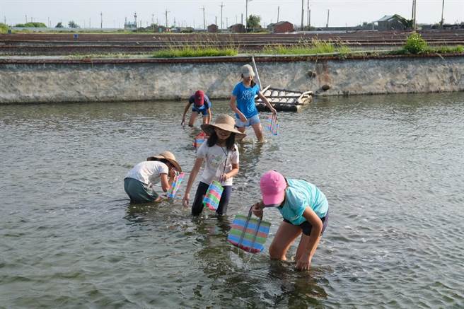 云林县口湖乡成龙溼地推出生态半日游，赏鸟、摸文蛤纾缓压力。（观树教育基金会提供／张朝欣云林传真）