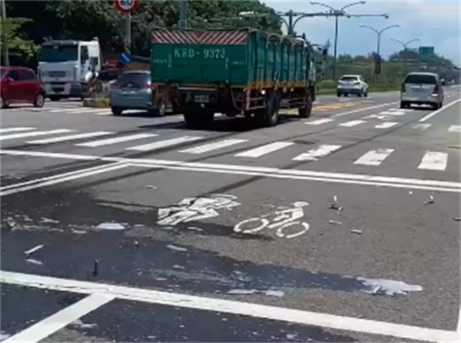 1名网友日前在马上看见几10只活鱼正躺在路上跳动着，研判是载鱼的货车因急煞导致甩出活鱼。（翻摄自脸书「路上观察学院」）