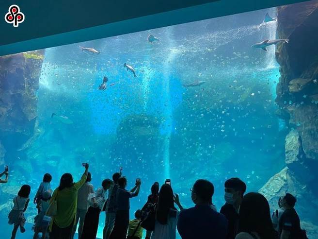 圖為Xpark水族館館內一景。（圖／本報資料庫）