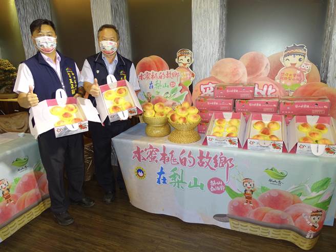 中市和平区公所今年水蜜桃销售活动受疫情影响，结合线上平台「中华邮政i邮购」、「枫康超市－团购网」及「雄狮严选」等通路平台销售，举办连线记者会热情开卖。（和平区公所提供／陈淑芬台中传真）