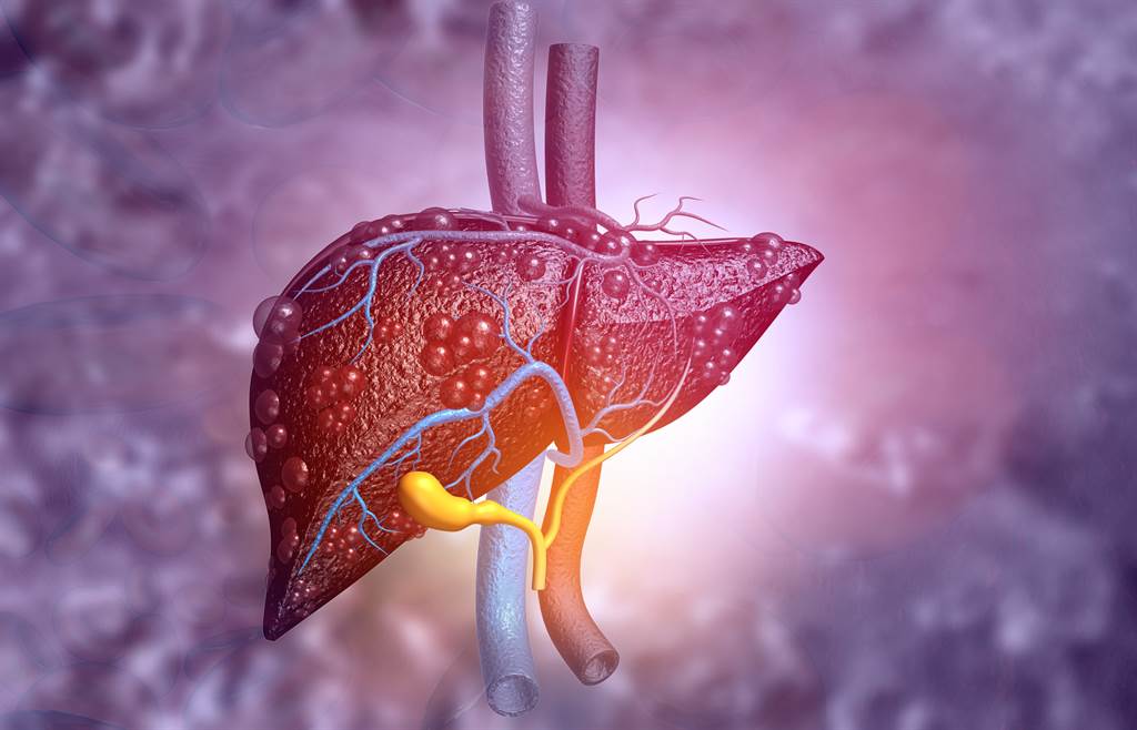 华盛顿大学医学院的一项研究指出，HDL在保护肝脏免于损伤上，有着过去未曾发现的效果。透切断常见的肠道细菌所产生发炎讯号，HDL可保护肝脏避免受损。达志影像/Shutterstock(photo:ChinaTimes)