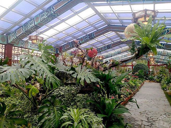 士林官邸新蘭亭變身為枝幹交錯的雨林（圖片：台北市公園處提供）