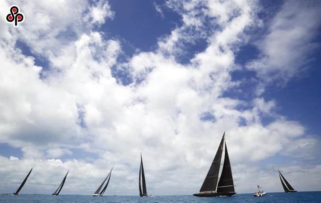 多明尼加出現豬豬感染非洲豬瘟，是近年加勒比海地區發生非洲豬瘟疫情的首例國家。（本報系資料照）