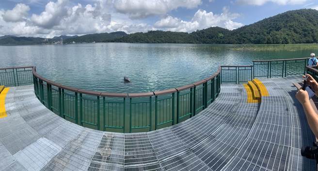  日月潭九蛙迭像重新亮相，平台宽广拍合照更方便。（廖志晃摄