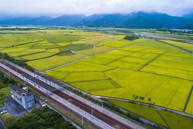 降級解封 花東縱谷國家風景區鬆綁開玩 生活 中時新聞網