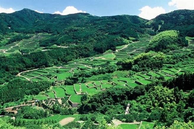 （图／元气佐贺 提供）