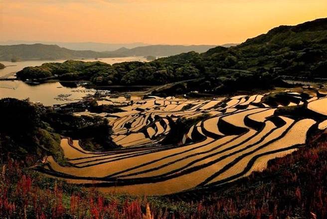 （图／元气佐贺 提供）