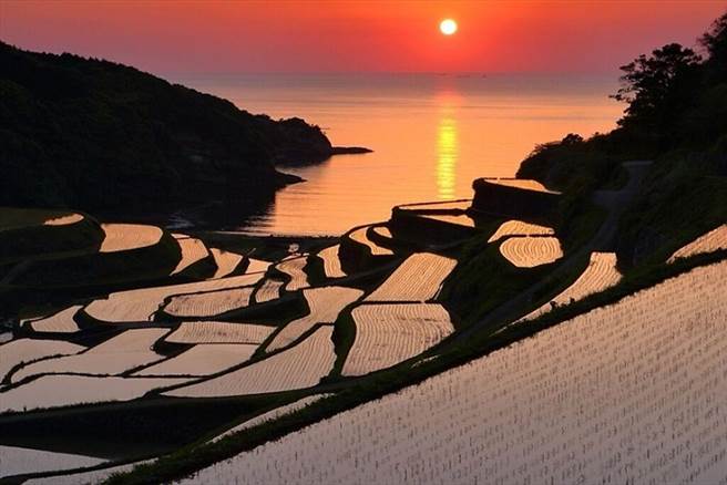 （图／元气佐贺 提供）