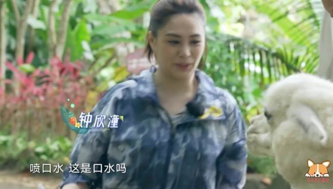 沒想到卻無預警遭到草泥馬口水噴射滿臉。(圖/ 摘自微博)