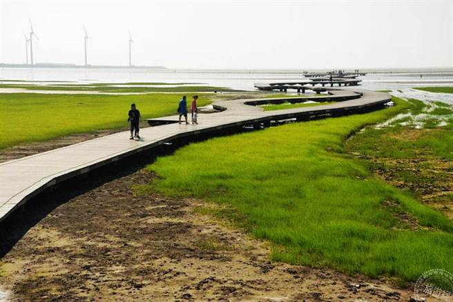 高美湿地。（台中市政府提供）
