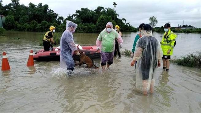 新化一处狗场淹水严重，台南市政府农业局动保处与新化消防分队，冒雨抢救48只狗。(动保处提供／曹婷婷台南传真)