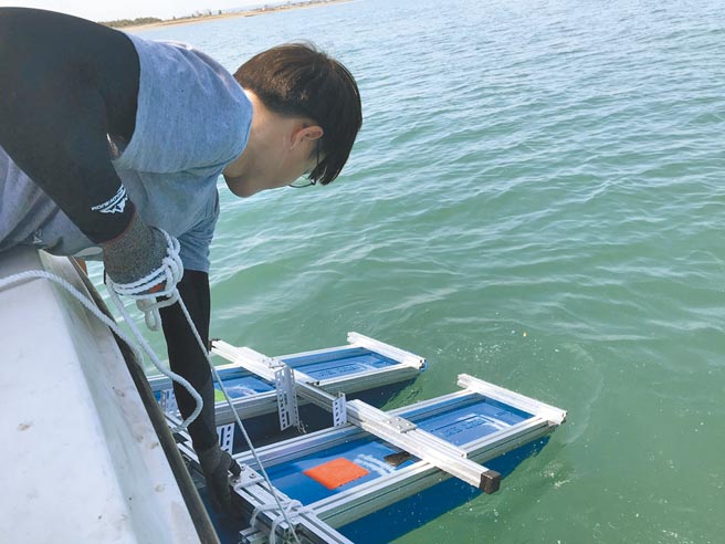 为清理微塑胶，桃园市海管处以无人船搭载无耗材微塑胶过滤器、垃圾搜集网，透过每月1次港区绕行收集的方式清理微塑胶。（环保局提供／萧灵玺桃园传真）