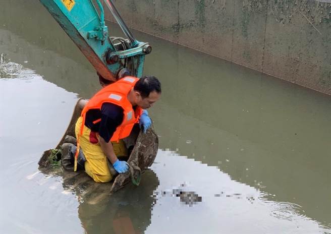 越籍移工昨凌晨外出未归，溺毙于租屋附近曾文溪大排中。（读者提供／刘秀芬台南传真）