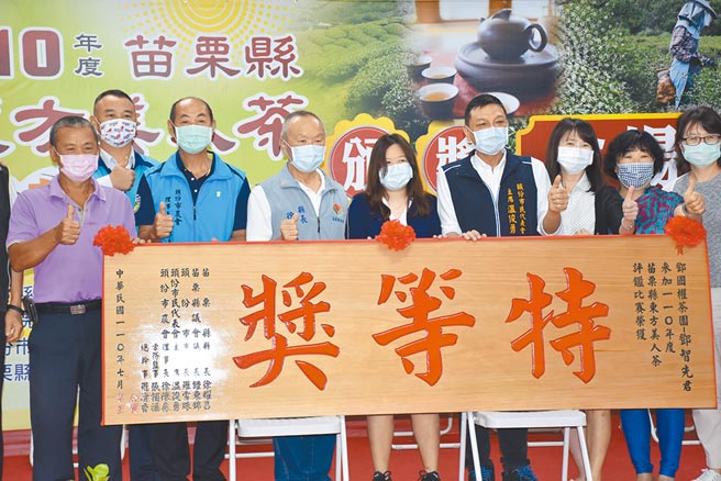 苗栗县2021年夏季东方美人茶比赛由头份邓国权茶园获得特等奖。（谢明俊摄）