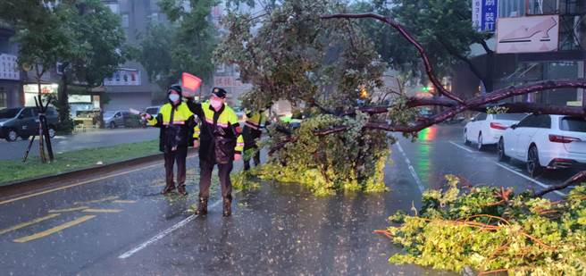 连日大雨路树断裂横挡车道，中市警漏夜冒雨紧急救援。（警方提供／陈淑芬台中传真）