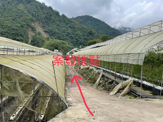 南投线仁爱乡蕃茄园发生男移工刺死同乡女移工命案。（仁爱警分局提供）