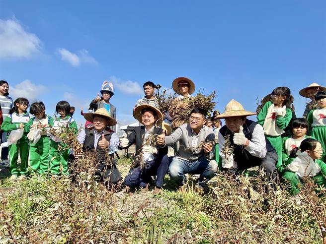 台中市農業局推動非基因改造大豆契作計畫，輔導農民於二期作轉作非基改大豆，年產量約105公噸。（王文吉攝）
