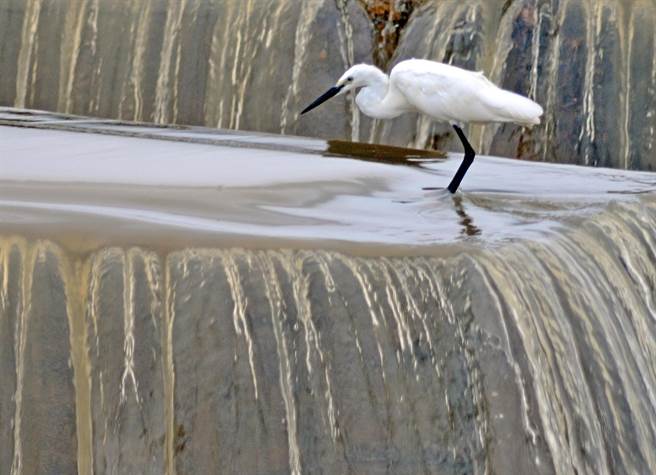 卢碧颱风未在金门出现强风豪雨，但仍断续带来几场「好雨」，金门气象站统计2天来已降下逾60毫米的雨水。（李金生摄）