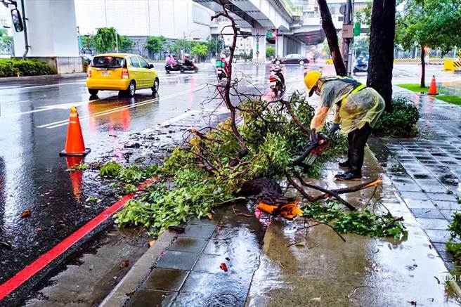受到颱風及西南氣流接連來襲，造成台中傳出路樹倒塌、道路坑洞、積淹水等災情。（台中市政府提供）