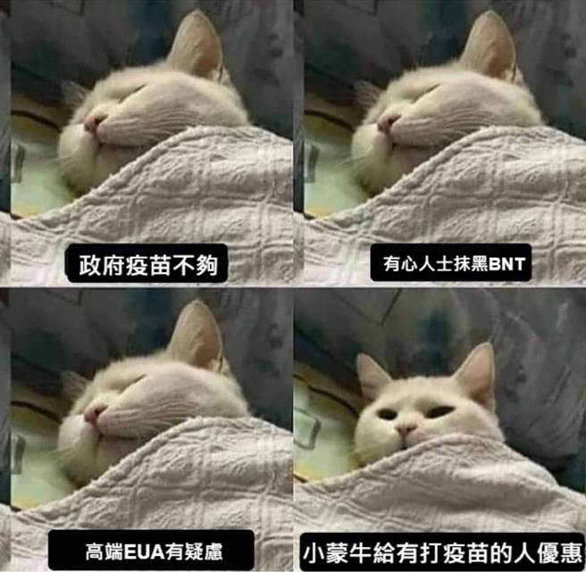 国民党台北市议员罗智强办公室主任杨植斗脸书发文附图。（图／取自杨植斗脸书）