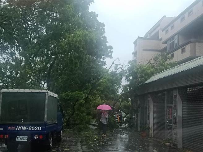 東豐自行車綠廊苦楝樹深夜突然倒塌，壓毀2戶民宅採光罩，轟然巨響嚇醒熟睡住戶。（張鴻斌提供／王文吉台中傳真）
