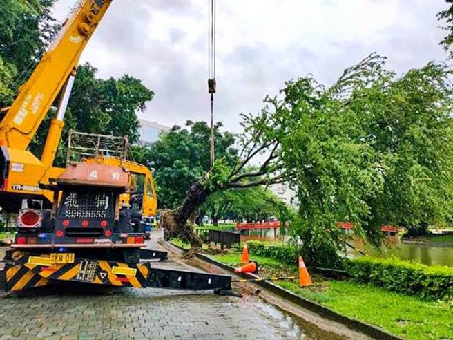 受到颱风及西南气流接连来袭，造成台中传出路树倒塌、道路坑洞、积淹水等灾情。（台中市政府提供）