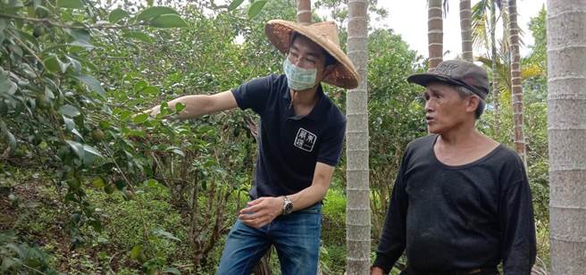 青农林一州（左）与万荣乡农友签订油茶契作，并以高于市价的价格保证收购。（林一州提供／王志伟花莲传真）