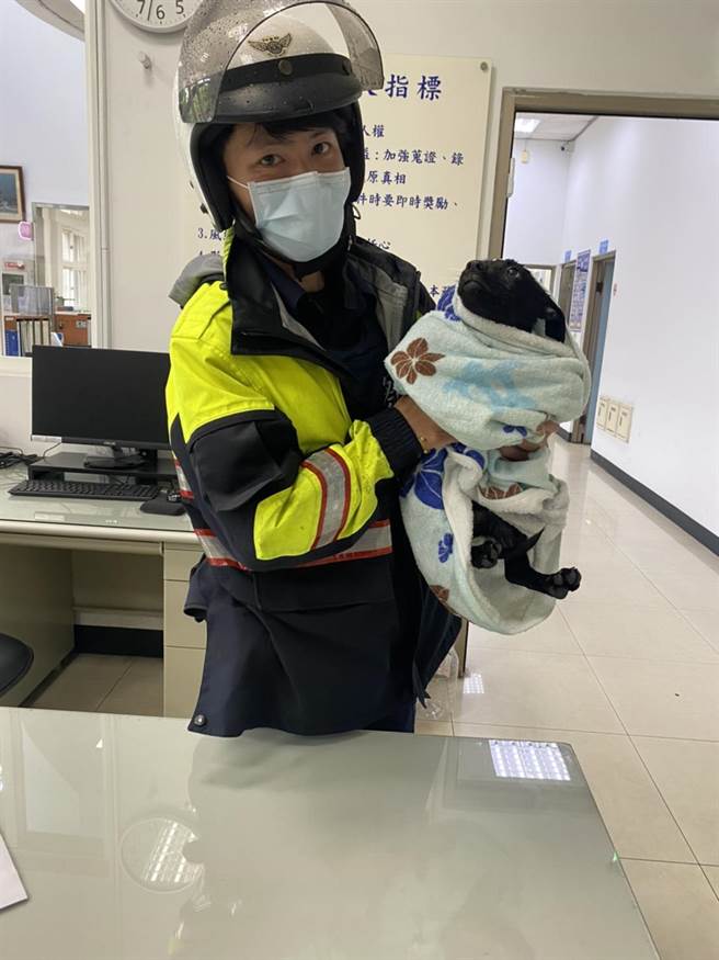 桃园大圳6日下午1只黑色年幼米克斯犬不明原因落水，员警跟民眾狂奔百米将狗狗打捞上岸，呼吁饲主认领。（警方提供）