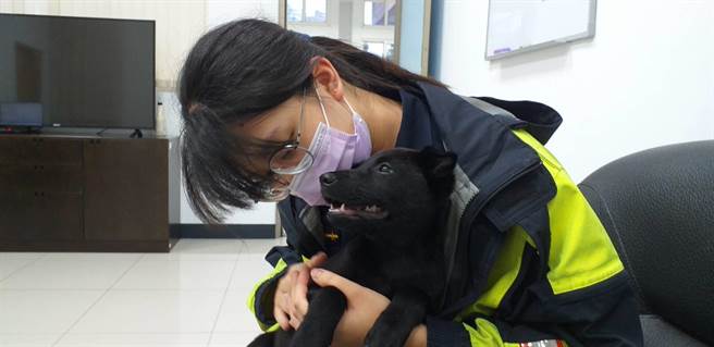 桃园大圳6日下午1只黑色年幼米克斯犬不明原因落水，员警跟民眾狂奔百米将狗狗打捞上岸，呼吁饲主认领。（警方提供）