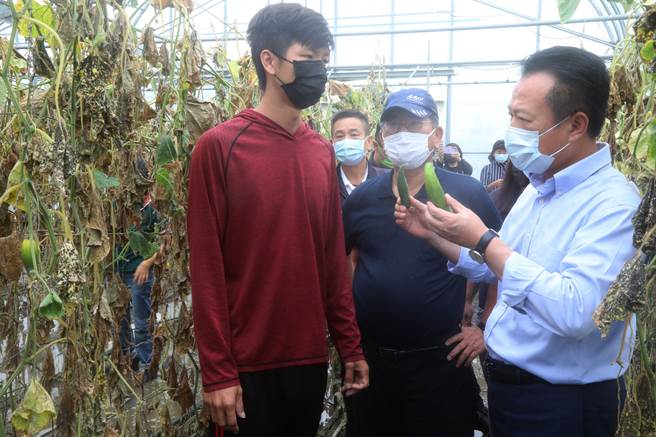 嘉義縣長翁章梁詢問農民小黃瓜受雨損的情形。（廖素慧攝）