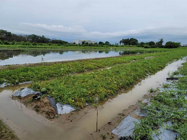 西瓜豪雨浸水受损情形。（南市府农业局提供／张毓翎台南传真）