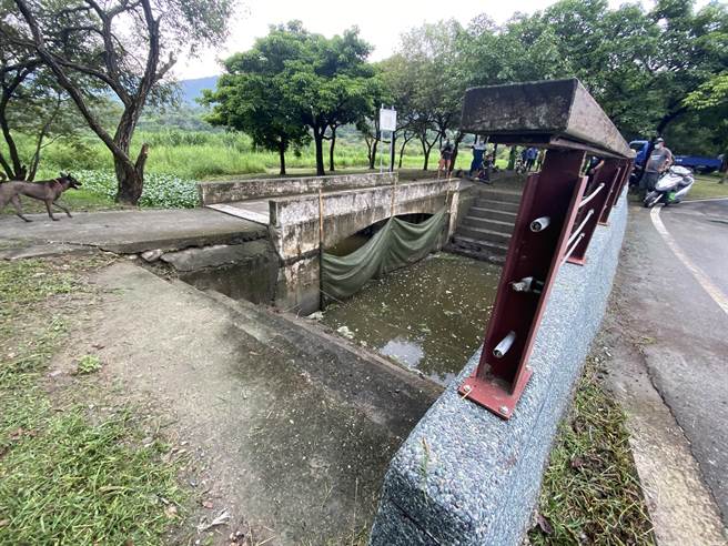 台东县池上乡公所在大坡池西侧进水口设置拦网，拦往后方种植布袋莲。（蔡旻妤摄）