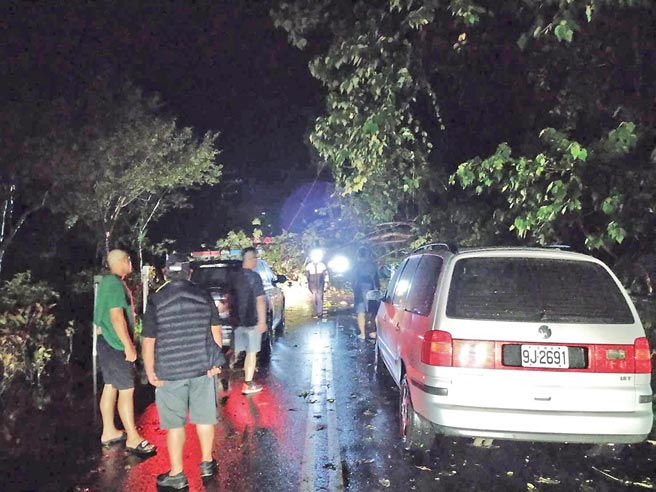 台8线东关路20.3K路树倒塌，双向阻断无法通行。（和平分局提供／王文吉台中传真）