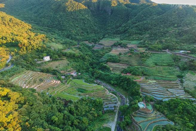 想看壮观梯田不能飞峇里岛、云南没关系，新北市石门区也有，当地人百年前用阳明山火山岩砌成梯田，让嵩山梯田彷佛世外桃源。（图/行遍天下）