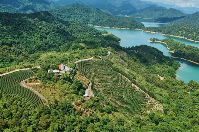 北宜公路上可见许多茶园，因气候适宜、又位于水源保护区的优势，出产高品质文山包种茶，香气浓郁。