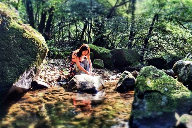 荖寮坑古道也可见到清浅的小溪涧。（图/行遍天下）