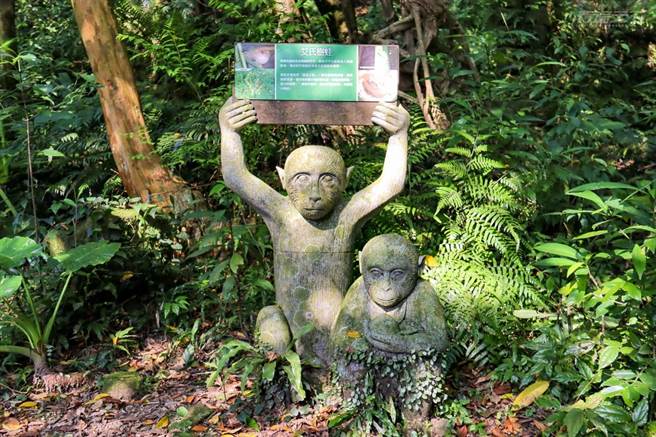 路旁也有介绍环境的指引。（图/行遍天下）