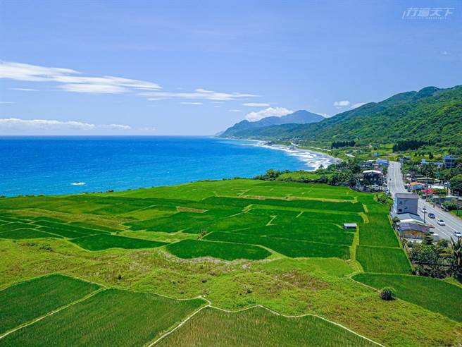 公路约43.5K处有全台面积最大的海梯田，东管处在公路边设置装置艺术供游客游憩，因为景色唯美吸引过往游客停车拍照打卡。