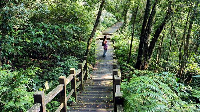 林荫蓊郁的荖寮坑古道，让人一路享有满满的芬多精。（图/行遍天下）