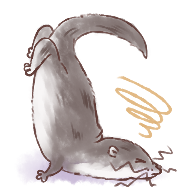 金大学生笔下可爱的欧亚水獭速写。（金大提供）