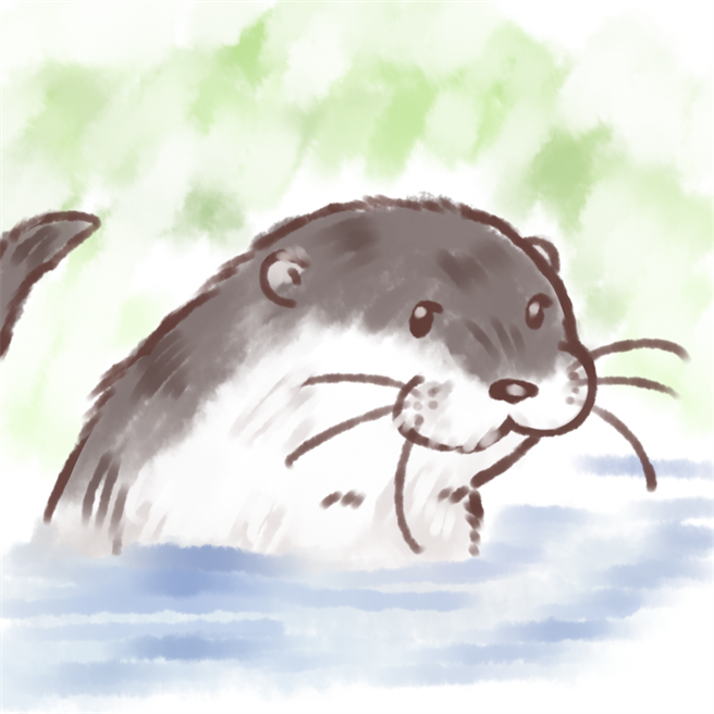 金大学生笔下可爱的欧亚水獭速写。（金大提供）
