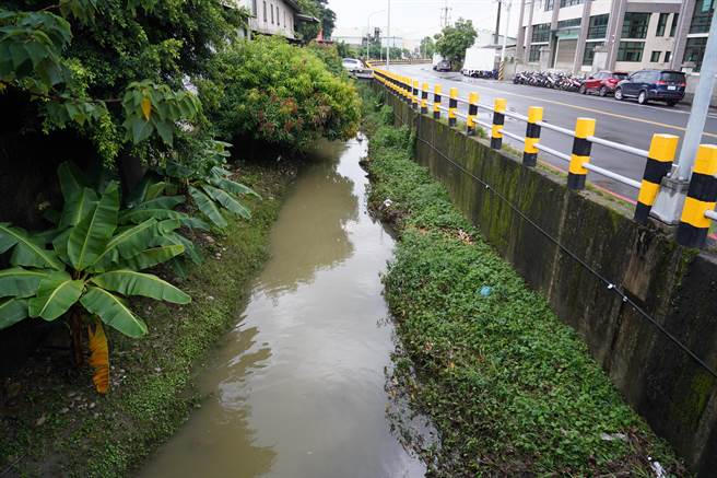 新北市樹林區鹿角溪下游遭地方反應有臭味、雜草問題；水利局表示，將綜整地方意見，評估後研議辦理。（洪佳君提供）