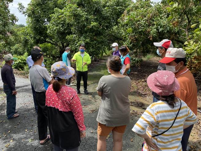 台南市議員李宗翰9日與台南市農業局副局長陳仲杰、東山區青山里長李正才等人勘災。（李宗翰議員服務處提供／張毓翎台南傳真）