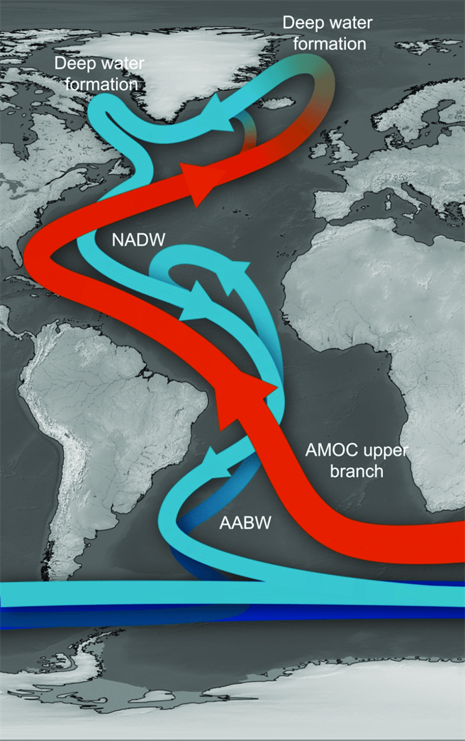 大西洋的環流循環，紅色的暖流一路向北，到了北極海冷卻再回到南方。(圖/NOAA)